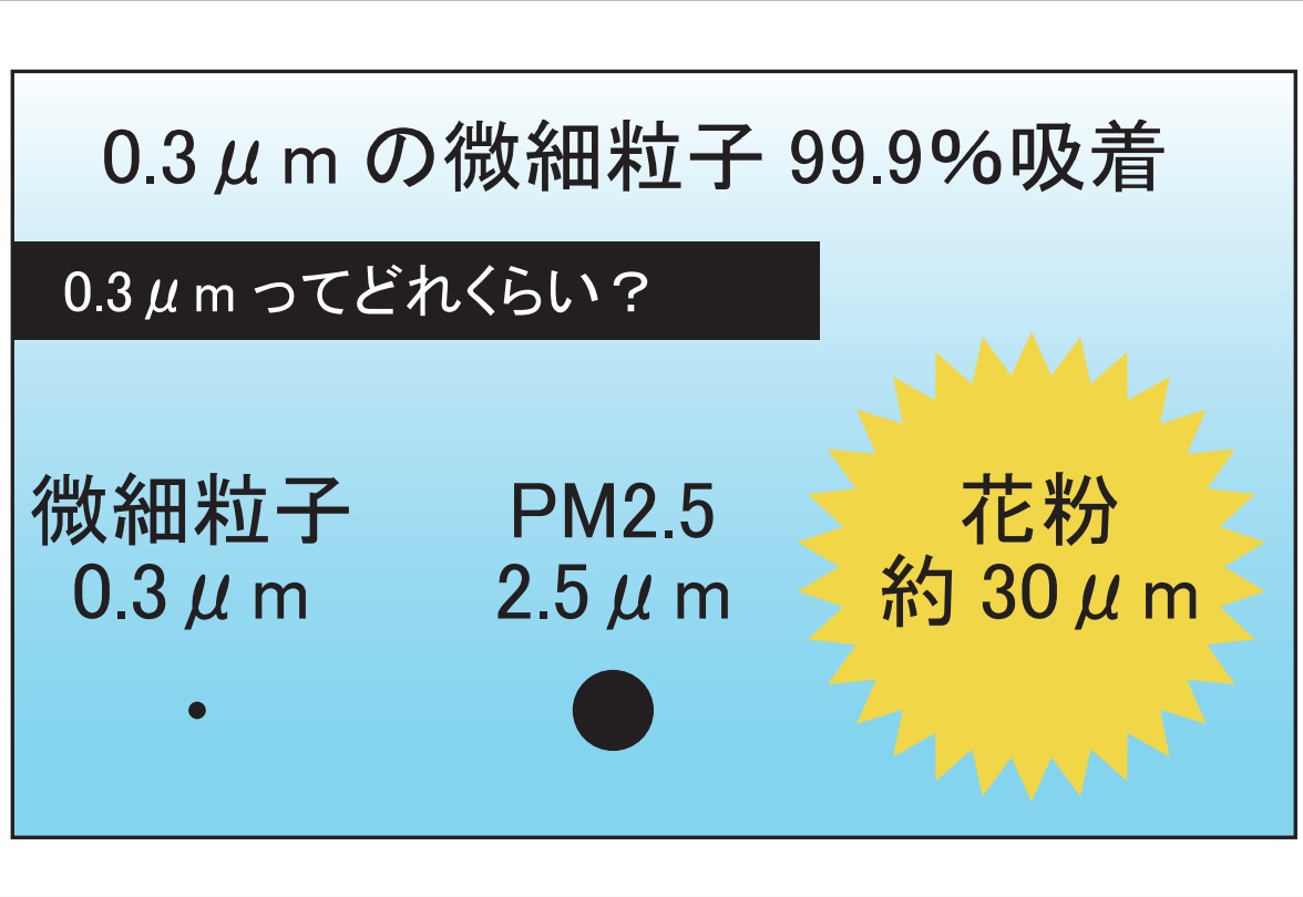 0.3μmの微細粒子